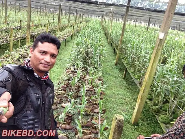 অর্কিড বাগান